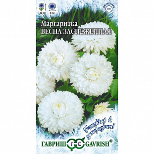 Семена Маргаритка Весна заснеженная