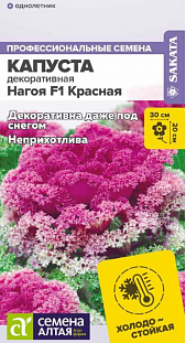 Капуста декоративная Нагойя красная F1 Капуста декоративная Нагойя красная F1