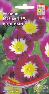 Вьюнок Мозаика красный