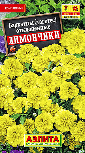 Семена Бархатцы Лимончики. <br>
Обильноцветущий низкорослый сорт с крупными махровыми соцветиями (5-7 см). Кустики компактные, сильноветвистые, высотой до 30 см, с большим количеством цветоносов. Хорошо переносят неблагоприятные погодные условия в виде дождя и ветра. Цветение раннее и продолжительное, с июня до окончания сезона. Растения неприхотливые, тепло- и светолюбивые, засухоустойчивые, хорошо растут в маленьком объеме земли. Украсят своим видом клумбы, рабатки, бордюры, хорошо смотрятся в садовых контейнерах и балконных ящиках. 
Агротехника. Выращивают рассадным способом. Посев семян проводят в первой половине апреля. Всходы появляются через 4-8 дней после посева, сеянцы пикируют в фазе одного-двух настоящих листьев. Рассаду высаживают в конце мая-начале июня. Возможен посев в открытый грунт в мае на глубину 1,5-2 см. Для продолжительного и обильного цветения растениям необходим своевременный полив, регулярная прополка, рыхление и подкормка минеральными удобрениями.