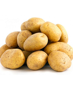 Семенной Картофель Банкир