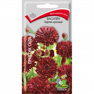 Семена Василёк Карлик красный