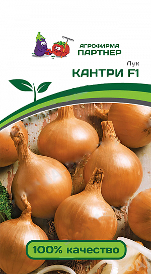Семена Лук репчатый Кантри