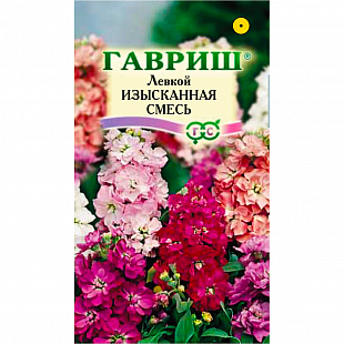 Семена Левкой Изысканная смесь