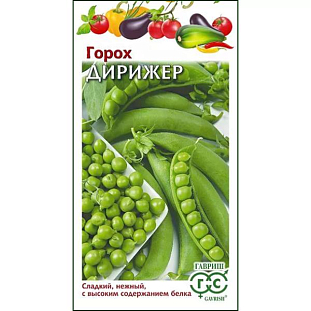 Семена Горох Дирижёр