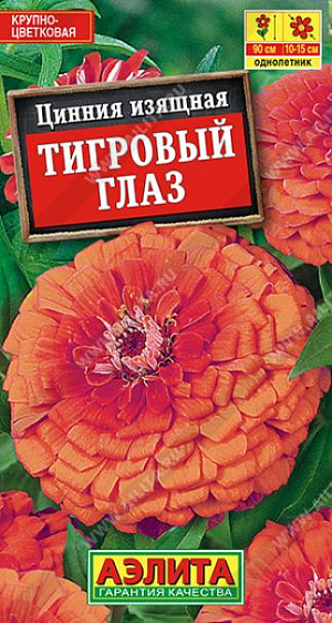 Семена&nbsp;Цинния Тигровый глаз.&nbsp;Яркий высокорослый сорт циннии с очень крупными махровыми соцветиями (диаметром 10-15 см). Кусты быстрорастущие, мощные, раскидистые, высотой до 90 см. Цветение обильное и длительное. Каждый цветок держится на растении до 35 дней. Используется в групповых и одиночных посадках в цветниках. Дает отличный материал для букетов, цветы долго стоят в воде.<br>
 <br>
 Циннии – растения теплолюбивые, быстрорастущие, относительно засухоустойчивые. Предпочитают солнечные участки с дренированными почвами среднего плодородия, нейтральной кислотности. В южных регионах возможен безрассадный способ выращивания.<br>