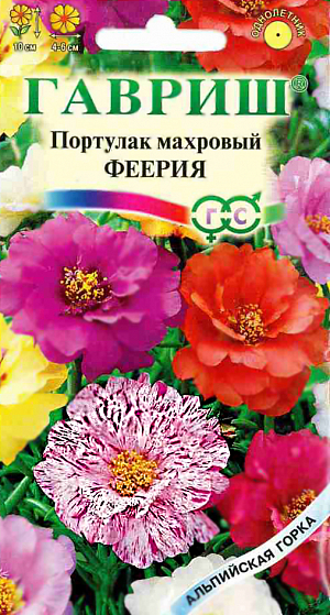 Семена Портулак Феерия махровый.
Однолетнее стелющееся, сильноветвистое растение высотой 15-20 см. Побеги сочные, мясистые, светло-зеленые, иногда с красноватым оттенком. Листья мясистые, почти цилиндрические, мелкие, голые. Цветки одиночные, махровые, верхушечные, 4-6 см в диаметре, разнообразных оттенков. Цветки открываются только в ясные, солнечные дни. Цветет с июня до заморозков. Растение теплолюбивое, засухоустойчивое, очень светолюбивое, при малейшем затенении не цветет. Не переносит никаких удобрений и растет на сухой, песчаной и даже каменистой почве с минимальным поливом. Семена сеют на рассаду в феврале-марте поверхностно, прикрывают стеклом или пленкой, держат на свету. Всходы появляются через 7-14 дней. Пикируют в горшочки диаметром 5-6 см. Выращивают с очень умеренным поливом. По окончании заморозков высаживают на расстояние 15-20 см на цветники, каменистые горки.Высаживают в вазоны, контейнеры, ящики на балконы и лоджии, поверх подпорных стенок. На южных склонах.