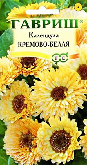 Семена Календула Кремово-белая<br>
 <br>
 Популярное неприхотливое растение из семейства Астровых. Цветет с июня до заморозков. Цветение обильное и продолжительное, особенно при удалении отцветших соцветий. Соцветия махровые кремово-белой окраски. Календула светолюбива и предпочитает легкие почвы, холодостойка - выдерживает до -5°C. Размножают прямым посевом в грунт. Семена высевают весной или под зиму, всходы появляются через 7-10 дней, их через некоторое время прореживают на расстоянии 20 см. Зацветает через 10 недель после посева. Сорт подходит для цветников и получения срезки.<br>