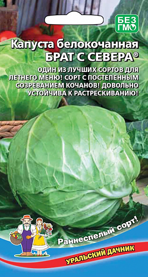 Семена Капуста белокочанная Брат с Севера