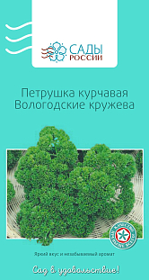 Петрушка курчавая Вологодские кружева Петрушка курчавая Вологодские кружева