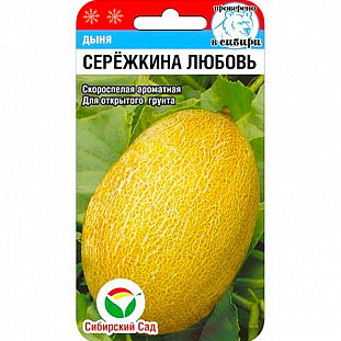Семена Дыня Сережкина любовь