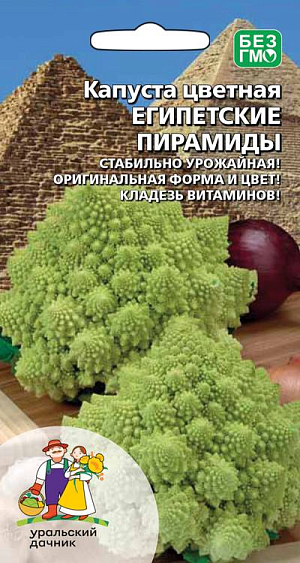 Семена Капуста цветная Египетские Пирамиды