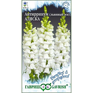 Семена Львиный зев (Антирринум) Аляска