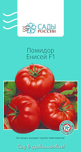 Семена Томат Енисей F1