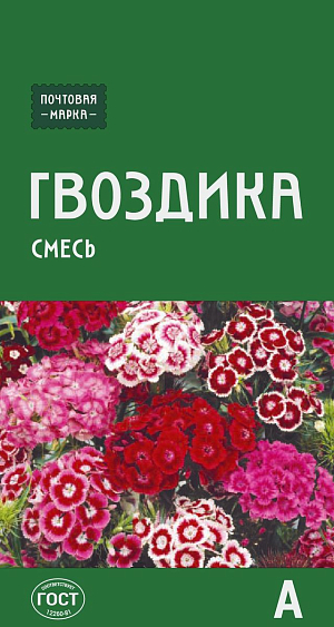 Гвоздика бородатая (смесь) 

Традиционное садовое растение, любимое еще нашими бабушками, и сегодня придает уголкам сада особое очарование. Растение с прямыми прочными стеблями и ланцетовидными листьями. Пышные, ароматные соцветия - щитки, размером 8–12 см, удивляют самыми разнообразными окрасками. Неприхотлива, с обильным самосевом. Используется в цветниках и на срезку. Зацветает на второй год.