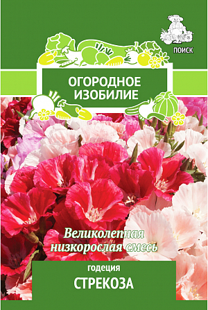 Семена Годеция Стрекоза.
Великолепная низкорослая смесь, цветущая раньше других сортов. Растение в виде прелестных компактных кустиков, высотой до 50 см, с узколанцетными листьями. Красивые колокольчатые цветки разнообразной окраски - белой, розовой, малиновой, ярко-розовой с карминным пятном у основания лепестков. Используют для переднего края бордюров, рабаток, клумб.
Посев: апрель-май
Глубина посева: 0.5 см
Время цветения: июль - окт.
Схема посадки: 20х40 см