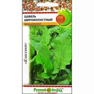 Щавель Широколистный Щавель Широколистный