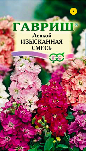Семена Левкой Изысканная смесь.
Однолетнее растение из семейства Капустные с травянистыми или почти одревесневшими стеблями высотой 40 см. 
Цветет в июне-августе. Цветки диаметром 5-6 см, ароматные, собраны в кистевидные соцветия.
Окраска цветков разнообразна - желтая, розовая, карминная, красная, фиолетовая, белая.
Предпочитает хорошо освещенные участки с рыхлой, дренированной, удобренной почвой.
Выращивают рассадным способом и прямым посевом в открытый грунт. Посев семян на рассаду проводят в марте.
Рассаду высаживают во второй декаде мая на расстоянии 20-30 см. 
В открытый грунт семена высевают в конце апреля-начале мая с последующим прореживанием.