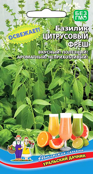 Семена Базилик Цитрусовый Фреш