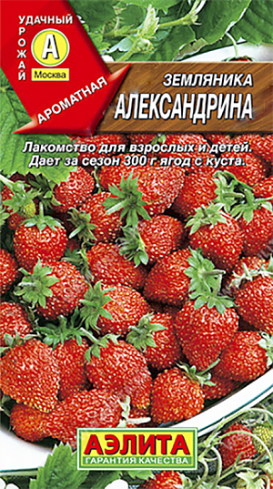 Семена Земляника (клубника) Александрина