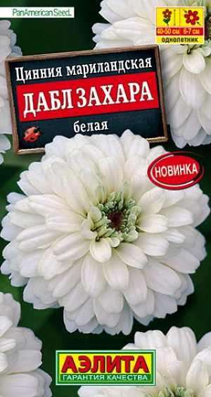 Семена Цинния Дабл Захара белая. 100% махровая! Роскошная цинния от американской компании PanAmerican Seed. Компактное растение, высотой 40-50 см, дает ошеломляющее количество ярких полностью махровых цветов&nbsp; &nbsp;6-7 см. Соцветия долго сохраняют декоративность на растении, не боятся любых погодных условий. Серия цинний Дабл Захара рекомендуется для выращивания в клумбах, рабатках, в контейнерах и кашпо.<br>
 Циннии – растения теплолюбивые, быстрорастущие, относительно засухоустойчивые. Предпочитают солнечные участки с дренированными почвами среднего плодородия, нейтральной кислотности. В южных регионах возможен безрассадный способ выращивания.<br>