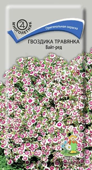 Семена&nbsp;Гвоздика травянка Вайт-Ред.&nbsp;Многолетнее растение со стелющимися стеблями высотой около 15 см, образует аккуратные подушковидные дернины. Листья узкие, темно-зеленые зимующие. Цветы многочисленные ароматные, с разрезными краями лепестков. Цветет в июне-июле. Великолепно выглядит в композициях с камнями, по краям цветочных бордюров.<br>
 <br>
&nbsp;Агротехника.&nbsp;Растение зимостойкое, лучше развивается на солнечных местах. Предпочитает легкие, дренированные, плодородные, некислые почвы. Посев семян производят в марте-апреле на рассаду или прямым посевом в грунт в мае. При температуре почвы +18-20°С всходы появляются через 7-14 дней. Сеянцы пикируют в фазе двух-трех настоящих листьев. На постоянное место рассаду высаживают в мае-июне, выдерживая расстояние между растениями 10-15 см.