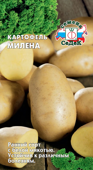 Семена Картофель Милена