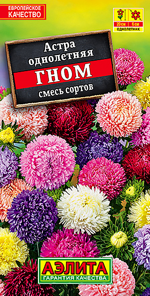 Семена Астра Гном китайская карликовая.
Однолетник. 
Высота 20 см.

Диаметр 6 см.

Серия астр ГНОМ – одна из лучших по обилию и продолжительности цветения. Кусты шаровидные, ветвистые, высотой до 20 см., усыпаны густомахровыми соцветиями Ø5-7 см. с июля до заморозков. Астры 
холодостойкие, светолюбивые (но выносят легкую полутень), не терпят сырых, переувлажненных почв. Сохраняют свою декоративность под воздействием дождя и ветра. Отлично подходят для выращивания в горшках и балконных ящиках, используются для посадки на клумбы, в цветники и рабатки.

Посев. Выращивают рассадным способом. С развитием первой пары настоящих листочков сеянцы пикируют. На постоянное место рассаду высаживают в возрасте 30-35 дней. Возможен посев семян в открытый грунт весной или под зиму, в конце октября, на глубину 0,5-1 см. Растениям необходимы регулярные поливы, прополки, рыхления и подкормки.