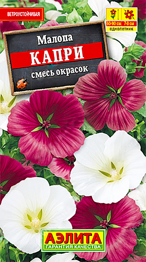 <div>
 Семена Малопа Капри смесь.
</div>
<p>
 Высота растения 60-90 см.
</p>
<p>
 Диаметр цветка 7-8 см.<br>
</p>
<p>
 Симпатичный, неприхотливый летник с прочным ветвистым стеблем высотой 60-90 см. Цветки воронковидные, крупные, диаметром до 8 см, образуются в пазухах листьев. Цветет обильно с&nbsp;конца июня до осенних заморозков. Растение светолюбивое, холодостойкое, нетребовательное к почве, но лучше развивается на плодородных участках с достаточным увлажнением. Благодарно реагирует на периодические подкормки полным минеральным удобрением. Своевременное удаление увядающих цветков стимулирует образование новых. Рекомендуется для выращивания группами, в составе миксбордера, для декорирования заборов, стен. Пригодна для срезки в сборные букеты.
</p>
<p>
</p>
<p>
 Посев непосредственно в грунт в самые ранние сроки весной. Можно посеять в начале апреля на рассаду в горшочки, а в мае высадить на постоянное место, с шагом 30-35 см.
</p>
