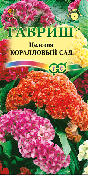 Семена Целозия Коралловый сад.
Засухоустойчивое растение интересное оригинальными по форме яркими соцветиями. Стебли прямостоячие, часто сросшиеся, сочные, 30-40см высотой. Листья овальные, заостренные, зеленые, пестрые или темно-пурпуровые. Цветки мелкие с желтым, оранжевым, розовым и главным образом пурпурово-красным околоцветником, собраны в массивное соцветие с более или менее крупными, глубокими извилинами по верхнему краю, напоминающее петушиный гребень. Рекомендуются для клумб, рабаток, ваз, сухих букетов.
