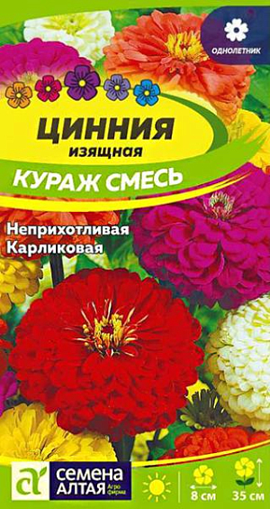 Семена Цинния карликовая "Кураж" смесь.<br>
Великолепная цинния с суперобильным и длительным цветением. Образует компактные сильноветвящиеся кустики высотой до 35 см, с множеством махровых полушаровидных соцветий ярких окрасок, диаметром до 8 см, расположенных среди зеленой листвы. Соцветия не выгорают на солнце, и длительное время сохраняют декоративность в срезке. Растение отличается высокой устойчивостью к неблагоприятным погодным условиям. Используется для оформления клумб, рабаток, эффектно будет смотреться в балконных ящиках и в качестве горшечной культуры. Растение относительно засухоустойчиво, но требует регулярных поливов, чувствительно даже к легким заморозкам. Предпочитает солнечные, защищенные от ветра теплые участки с дренированной нейтральной, богатой гумусом и минеральными элементами почвой. Посевы на рассаду проводят с конца марта под стекло. Глубина заделки семян 0,5 см. При температуре +22…+25°С всходы появляются на 7-10 день. С развитием первой пары настоящих листочков сеянцы пикируют в отдельные горшочки. В фазе 5-6 листьев проводят формирующую прищипку. В открытый грунт на постоянное место рассаду высаживают в конце мая – начале июня, когда минует угроза заморозков. Схема посадки – 20х20 см. Возможен прямой посев семян в открытый грунт в мае. Продолжительность цветения с июля до осенних холодов. Удаление увядших соцветий способствует более пышному и продолжительному цветению.