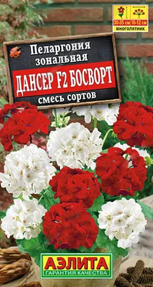 Семена цветов Пеларгония Дансер F2 Босворт, смесь сортов.<br>
 <br>
 Роскошная компактная форма от английской компании Floranova, легко выращиваемая из семян. Высота растений 30-35 см. Листья очень декоративны, а пышные шары соцветий диаметром 10-12 см. привлекают внимание с июня и до осени. Эффектно смотрится на подоконниках, в кадках и контейнерах и, конечно, на клумбах. Растение светолюбиво и засухоустойчиво, предпочитает рыхлую плодородную почву. Всходы появляются через 1-2 недели. В средней полосе пеларгония не зимует, но если ее пересадить осенью в горшки, она всю зиму будет радовать вас яркими цветами.<br>
 <br>
 &nbsp;Сеянцы пикируют в фазе одного-двух настоящих листьев. При достижении рассадой 8-10 см верхушки побегов прищипывают, чтобы стимулировать ветвление.<br>