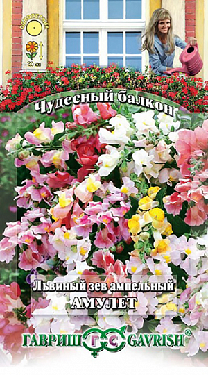 Семена Львиный зев Амулет ампельный.
Редкая селекционная форма львиного зева специально для подвесных кашпо и контейнеров.
Имеет хороший габитус, отлично развитые побеги, равномерный рост и большое количество цветков. Побеги длиной 20 см, свисающие, листья ланцетные. Цветки разнообразной окраски – желтой, красной, розовой, белой – собраны в небольшие кистевидные соцветия. 
Цветет с конца июня до поздних заморозков. Холодостоек, светолюбив, к почвам нетребователен.
Особенно хорошо цветет в полутени, на балконах, выходящих на северо-восток или северо-запад, нуждается в регулярных подкормках. 
Посев проводят с начала марта до середины апреля. При температуре почвы +18-20°С всходы появляются через 2-3 недели.
Рассаду высаживают на балкон во второй половине мая, расстояние между растениями 10 см.