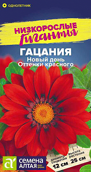 Семена Гацания "Новый день". Оттенки красного.<br>
Восхитительный однолетник! Гацании серии New Day компактны, отличаются простотой выращивания, отлично подходят для загущенных посадок, держат цветок открытым до позднего вечера. Кустик крепкий, ветвящийся, шириной 15-20 см. Очень крупные ярко-красные соцветия с темным кольцом вокруг центра не оставят равнодушными даже самых искушенных цветоводов. Используются для оформления рабаток, бордюров, каменистых горок, отлично смотрятся в вазонах, балконных и оконных ящиках. Растение жаро- и засухоустойчивое, предпочитает открытые солнечные участки с хорошо дренированной легкой почвой. Избытка влаги не переносит, может переносить резкие похолодания до -5 -7C. На рассаду семена высевают с середины марта в глубокие ящики, т.к. растение имеет длинный стержневой корень. Грунт предварительно прокаливают около 3 часов, затем его проливают насыщенным раствором марганцовки, остужают и наполняют посадочные емкости, обеспечив дренаж.