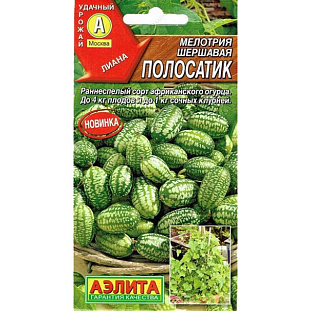 Семена Мелотрия Полосатик (Мышиная дыня)