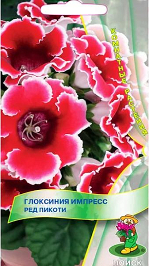 Семена Глоксиния Импресс Ред Пикоти. При благоприятных условиях одновременно появляются до 20 бутонов на одном растении. Окраска красная с белой каймой. Хорошо растет в достаточно освещенных местах, но без прямых солнечных лучей. Полив постоянный, обильный; избегая попадания воды на листья и цветки, лучше применять полив в поддон. Почвенная смесь: листовая, торфяная земля, сфагнум, песок в отношении 1:1:1:1. После цветения у растения наступает период покоя.<br>
Посев производят в январе-феврале, землей семена не присыпают, для поддержания постоянной влажности накрывают стеклом или пленкой. При температуре 18-20°С всходы появляются через 14-20 дней. Через месяц сеянцы пикируют, а затем пересаживают в горшки. Растения, полученные из семян, зацветают через 6-7 месяцев.