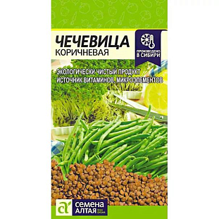 Семена Чечевица Коричневая