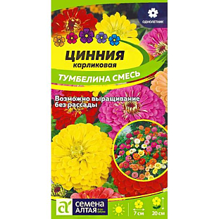 Семена Цинния карликоваяТумбелина смесь