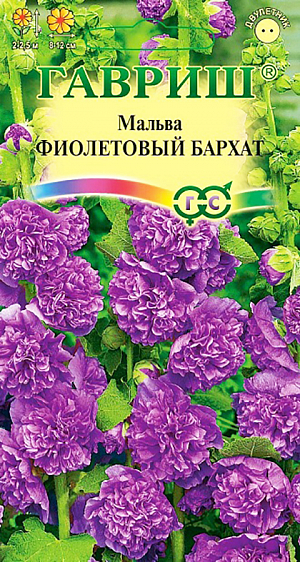 Семена Мальва Фиолетовый бархат.
Многолетнее растение из семейства Мальвовых, культивируемое как двулетник, высотой до 2 м. 
Цветет с конца июня по сентябрь. Цветки махровые, фиолетовой окраски, 8-12 см в диаметре, собраны в крупное эффектное соцветие-кисть.
Светолюбива и засухоустойчива, к почвам нетребовательна, но предпочитает участки с хорошо обработанной плодородной почвой. 
На зиму желательно укрывать. Выращивают прямым посевом в открытый грунт в мае по 3-4 семена через 50-70 см. 
Используется для посадки в группах, миксбордерах, для декорирования стен зданий и изгородей, а также для получения срезки.