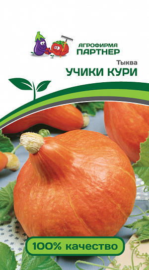 Семена Тыква Учики Кури