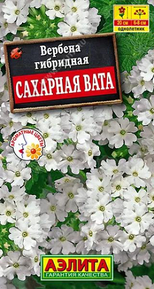 <div>
 Семена Вербена Сахарная вата.
</div>
<p>
 Однолетник. Высота 20 см. Диаметр 6-8 см.
</p>
<p>
 <br>
</p>
<p>
 Превосходный обильно цветущий однолетник с приятным ароматом. Кустики прямостоячие, высотой около 20 см, компактные. Мелкие цветки собраны в соцветия-щитки Ø6-8 см. Цветение раннее, обильное и продолжительное. Растения неприхотливые, холодостойкие и относительно засухоустойчивые. Используются для оформления цветников и контейнерного выращивания.&nbsp;
</p>
<p>
 <br>
</p>
<p>
 Посев.&nbsp;Выращивают через рассаду. Семена прорастают в течение трех недель. Всходы плохо реагируют на избыточную влажность. В фазе одной пары настоящих листьев сеянцы пикируют. Рассаду высаживают с середины мая. Вербена предпочитает солнечные участки с дренированной почвой нейтральной кислотности.
</p>