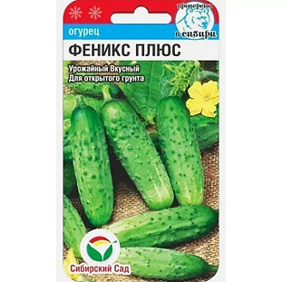 Семена Огурец Феникс плюс