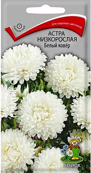 Семена&nbsp;Астра низкорослая Белый ковёр.&nbsp;Великолепный низкорослый сорт для ковровых цветников.&nbsp;Растение компактное, высотой около 20 см. Соцветия белые. Цветёт обильно с июля до морозов. Используют в сборных цветниках, на рабатках, для бордюров и мини-букетов.<br>
 <br>
&nbsp;Агротехника.&nbsp;Растение предпочитает открытое солнечное место, но выносит и полутень. Лучше растёт на лёгких, плодородных почвах. Не переносит внесения органических удобрений в год посадки. Семена высевают с середины февраля по апрель. Глубина заделки семян 0,5 см. При температуре +20 °С всходы появляются на 7-14 день. Через 3-4 недели посевы пикируют и выращивают при температуре 12-15 °С. В грунт рассаду высаживают во второй половине мая, расстояние между растениями 20 см.