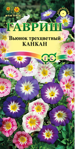 Семена Вьюнок трехцветный Канкан<br>
 <br>
 Неприхотливое однолетнее травянистое, густоветвистое растение семейства Вьюнковые 35-50 см высотой, со стелющимися и приподнимающимися побегами. Холодостойкое, светолюбивое. Цветки до 4 см в диаметре, синие, красные, белые. Цветет обильно с июля по сентябрь. Высевают в марте на рассаду или в середине апреля-начале мая в открытый грунт. Используют в рабатках, на клумбах, каменистых горках, для озеленения балконов и ваз.<br>