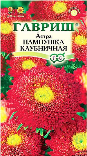 Семена Астра Клубничная Пампушка.
Растение высотой 50 см. Соцветия полусферические, красной окраски, диаметром 4-5 см.
Для выращивания подходят хорошо освещенные участки с плодородной суглинистой или супесчаной почвой. 
Астры обладают высокой холодостойкостью – хорошо переносят заморозки до -3-4 С. Выращивают, чаще всего, рассадным способом. 
Семена высевают в марте-апреле, пикируют с развитием первой пары настоящих листочков по схеме 5х5 см, в открытый грунт рассаду высаживают с середины мая до начала июня. Возможен подзимний посев астр: в конце октября на глубину 5-8 см. Сверху посевы мульчируют торфом или опилками на высоту 3-5 см. Весной (в конце марта-начале апреля) посевы раскрывают. Появившиеся в конце апреля всходы будут закаленными, а выросшие растения сильными, устойчивыми к заморозкам и обильно цвести. 
Используются для получения срезки и оформления участка.