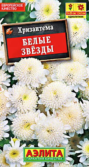Семена&nbsp;Хризантема девичья Белые звезды.&nbsp;Быстрорастущий летник с обильным и продолжительным цветением. Кустики компактные, сильноветвистые, вы сотой 15-20 см, с красивыми ажурными листьями. Махровые цветки диаметром 1,5-2 см. собраны в соцветия-корзинки диаметром 3-5 см. и расположены на верхушках побегов. Растения используют для бордюрной посадки на клумбах, рабатках, вдоль дорожек. Хороший сорт для контейнерного выращивания.<br>
 <br>
 Растения неприхотливые: холодостойкие (выносят кратковременные заморозки до -4°С), светолюбивые, засухоустойчивые, хорошо адаптируются к различным условиям выращивания. Для стимуляции ветвления молодые растения прищипывают. Возможен рассадный способ культивирования (посев в начале апреля).<br>