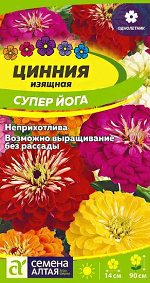 Семена Цинния изящная "Супер Йога".<br>
Великолепный новый сорт циннии, прекрасно подходит для составления букетов. Растение стройное, высотой до 90 см, побеги увенчаны крупными полушаровидными махровыми соцветиями ярких чистых расцветок. Праздничный вид растений неизменно привлекает внимание при выращивании в садах и скверах. Используется для оформления цветников, рабаток, миксбордеров, долго сохраняет декоративность в срезке. Растение относительно засухоустойчиво, но требует регулярных поливов, чувствительно даже к легким заморозкам. Предпочитает солнечные, защищенные от ветра теплые участки с дренированной нейтральной, богатой гумусом и минеральными элементами почвой. Посевы на рассаду проводят с конца марта под стекло. Глубина заделки семян 0,5 см. При температуре +22…+25°С всходы появляются на 7-10 день. С развитием первой пары настоящих листочков сеянцы пикируют в отдельные горшочки. В фазе 5-6 листьев проводят формирующую прищипку. В открытый грунт на постоянное место рассаду высаживают в конце мая – начале июня, когда минует угроза заморозков. Посадочный интервал – 30-40 см. Возможен прямой посев семян в открытый грунт в мае. Продолжительность цветения с июля до осенних холодов. Удаление увядших соцветий способствует более пышному и продолжительному цветению.