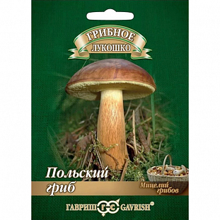 Мицелий грибов Польский гриб Мицелий грибов Польский гриб