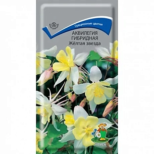 Аквилегия Желтая звезда гибридная