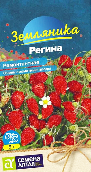 Семена Земляника (клубника) Регина ремонтантная